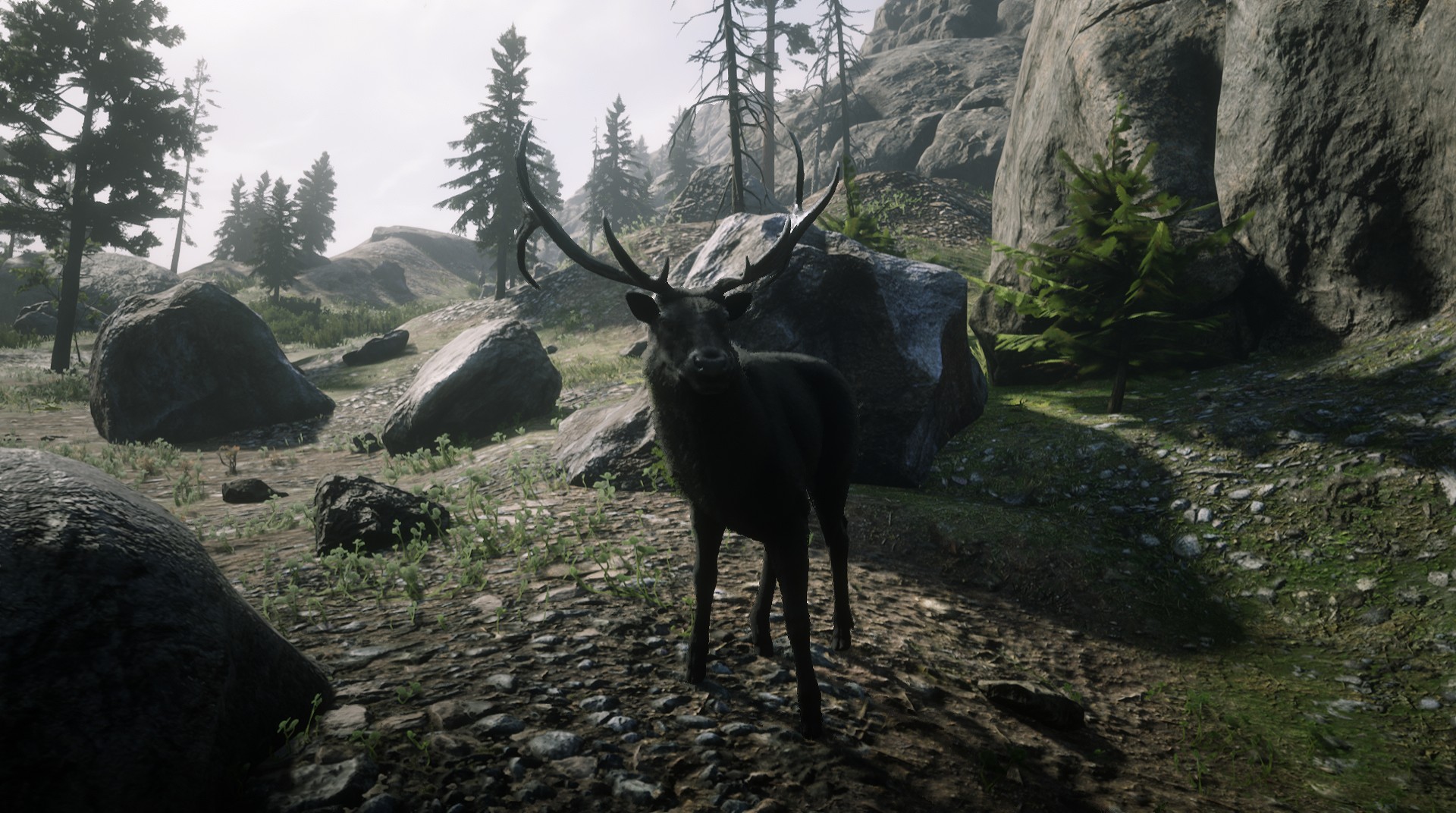 Legendary Katata Elk RED DEAD REDEMPTION 2 情報&攻略 wiki RDR2